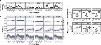 Prediction of HLA genotypes from single-cell transcriptome data